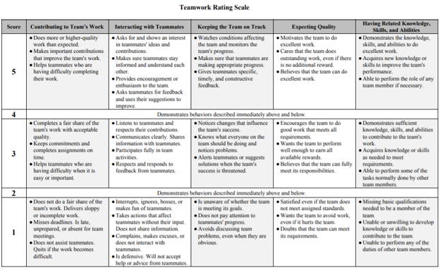 Teamwork Rating Scale
